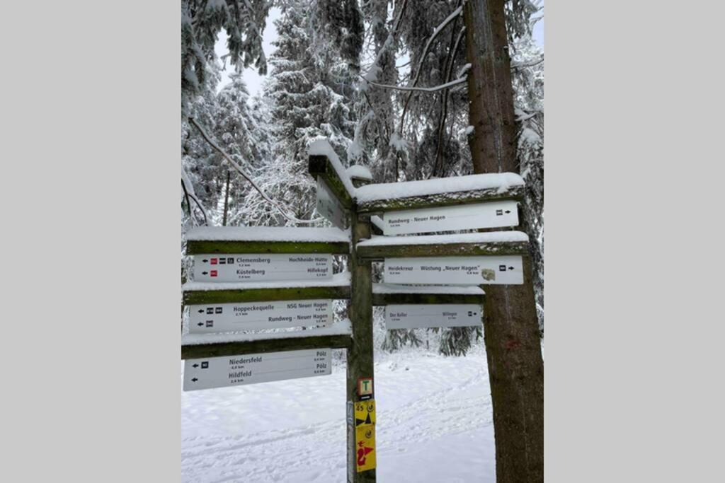 Zeit Fuer Dich Am Bergelchen, Winterberg Daire Dış mekan fotoğraf